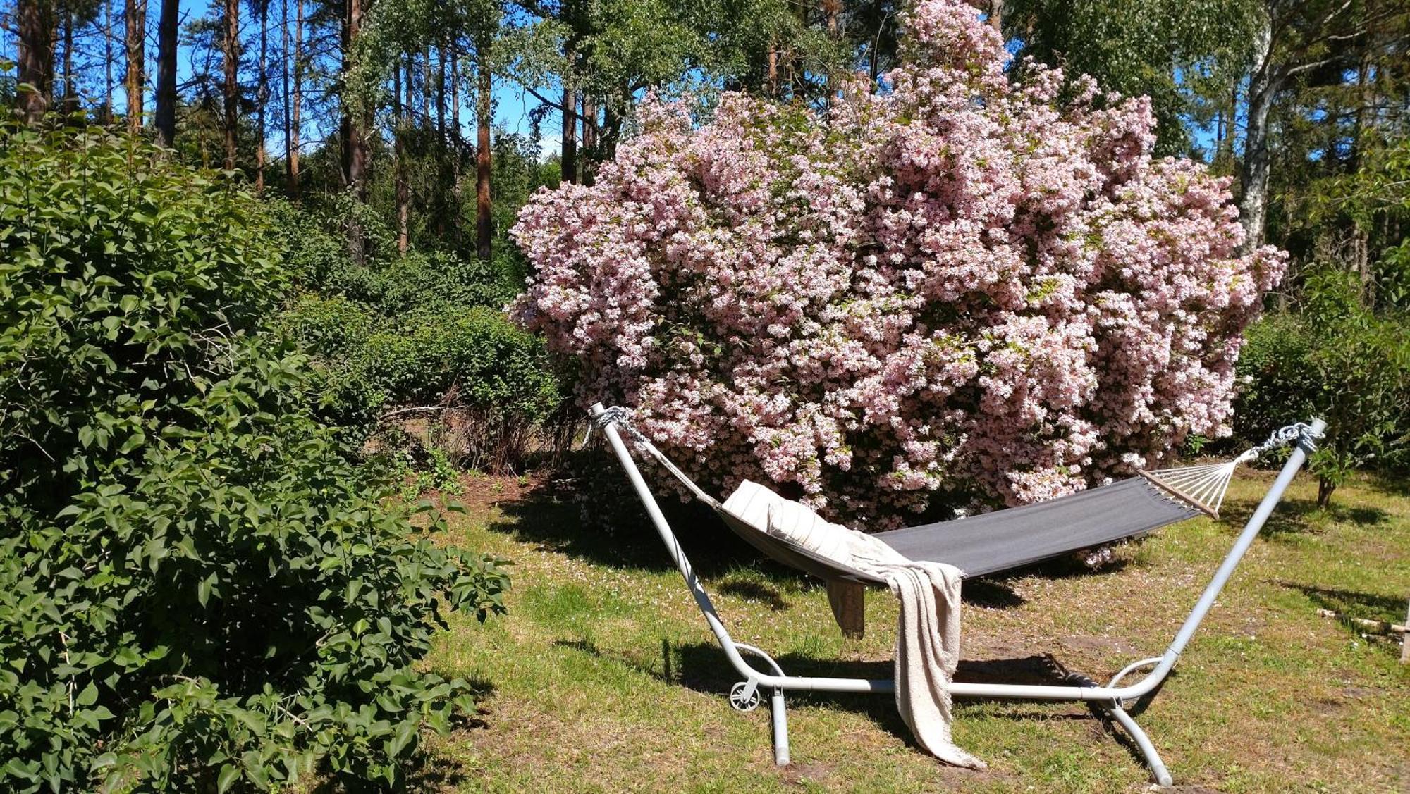 Oesterlencharm Loderup Bagian luar foto